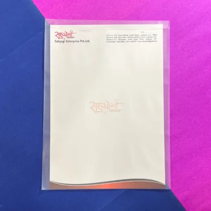 Premium Envelopes and Covers Transparent Embossed 9X12)img